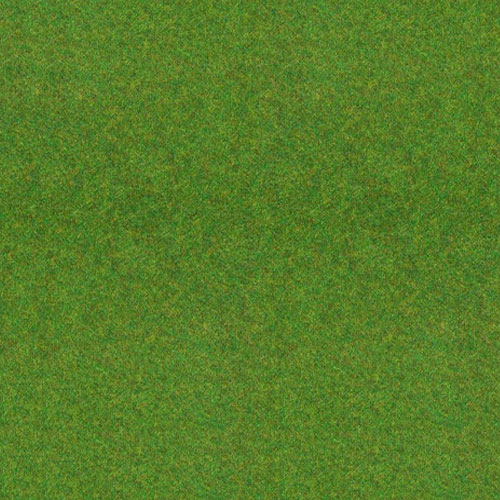 Textured Grass Sheet